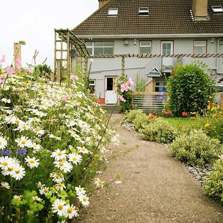 Eagle Heights Bed & Breakfast Enniscrone Dış mekan fotoğraf