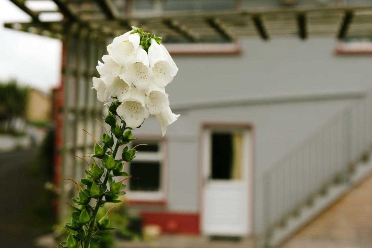 Eagle Heights Bed & Breakfast Enniscrone Dış mekan fotoğraf